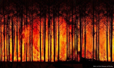 Uluslararası Demokratlar Birliği Türkiye&#039;deki yangınlarda mağdur olanlar için yardım kampanyası başlattı