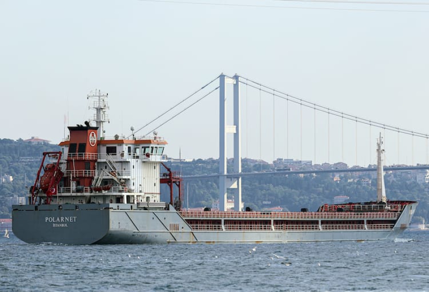 Ukrayna'dan yola çıkan mısır yüklü gemi İstanbul Boğazı'ndan geçti
