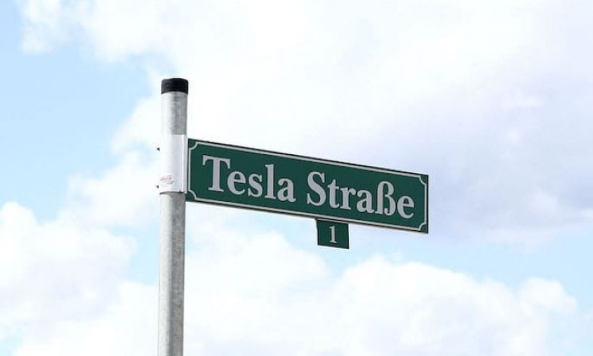 Almanya'da Tesla'nın 92 hektarlık ormanlık alanda inşa edeceği fabrikaya çevrecilerden tepki