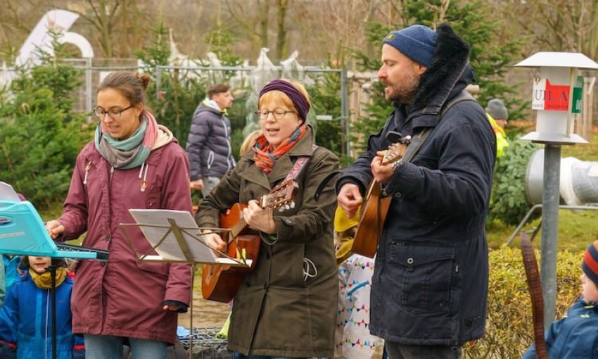 Weihnachtsbaumverkauf mit Musik stimmte aufs Fest ein