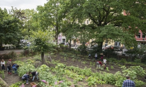 Im Schulgarten fürs Leben lernen