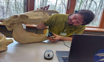 Digitale Zooschule bringt Artenvielfalt ins Klassenzimmer