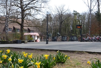 Luisa Rauenbusch / Tiergarten Nürnberg