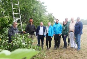 Die Pflege einer Kirschbaumreihe in Remlingen im Landkreis Würzburg ist eine geförderte Maßnahme im Rahmen des Bayerischen Streuobstpaktes. Vor Ort trafen sich (von links) die Pflegelandwirte Peter Piesch und Josef Busch, Landrat Thomas Eberth, Streuobstberaterin des Landkreises Würzburg Lena Wunderlich, Regionalkoordinator Streuobstpakt Jonas Stelz, Simone Heim und Niels Kölbl vom LPV Würzburg, Remlingens Bürgermeister Günter Schumacher und 2. Bürgermeisterin Eva Maria Stenke. Foto: Christian Schuster