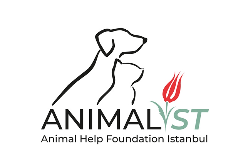 Animalist doğuyor - Almanya’da yaşayan hayvansever, Türkiye’deki sokak hayvanları icin dernek kurdu