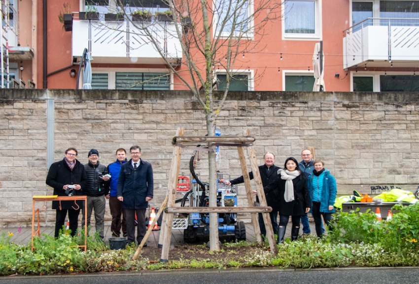 Smart-City-Projekt misst Bodenfeuchtigkeit von Stadtbäumen