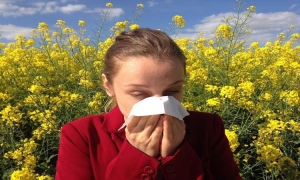 Pollenallergie: Beschwerden vorbeugen und lindern
