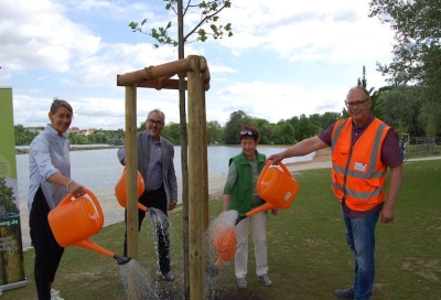 Foto: Einweihung des Tulpenbaums am Wöhrder See. Von links: Stifterin Katja Schatz, Baumstiftungsvorstand Mathias Schmidt, Stiftungsgründerin Margit Grüll und Karl Peßler, Mitarbeiter des Servicebetriebs öffentlicher Raum Nürnberg (Sör). Bildnachweis:  Stadt Nürnberg / Kerstin Stübs