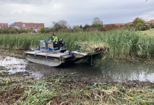 Bild: Amphibienfahrzeug mäht das Schilf im Wasser und an Land  Foto: Stephanie Möltner, Landschaftspflegeverband für Mensch und Natur Stadt Würzburg 