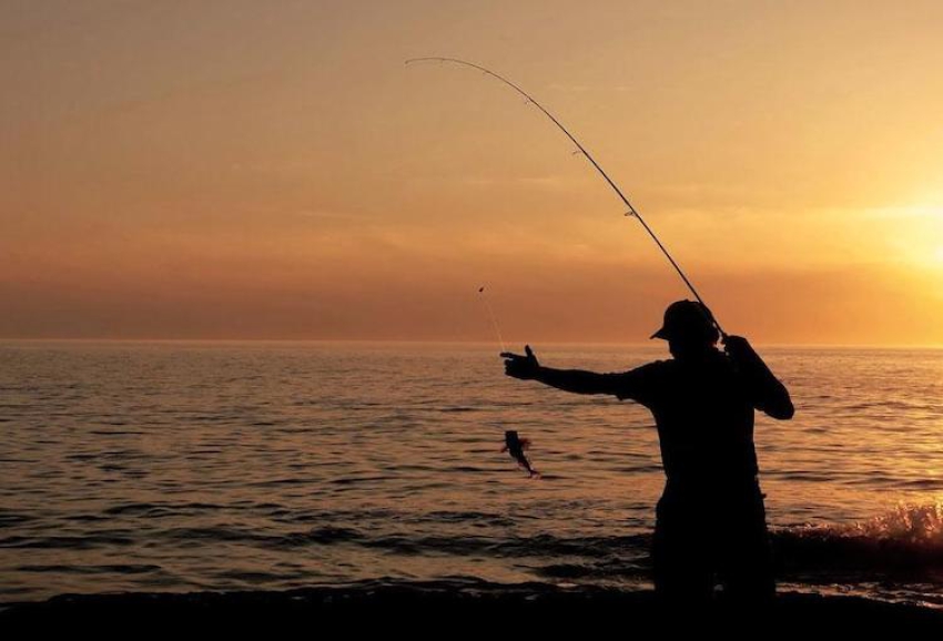 Türkiye'de Akdeniz çapında sürdürülebilir balıkçılık gözlemevi oluşturulacak