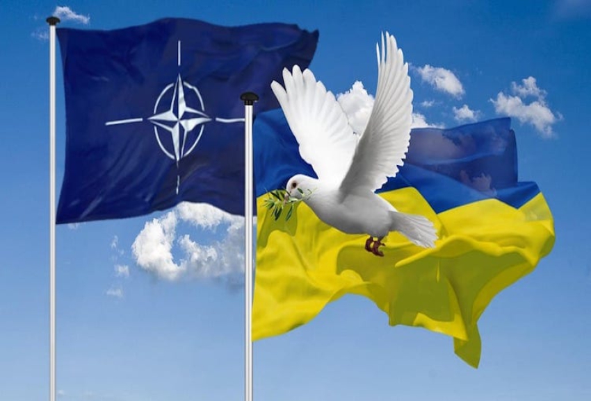 Alman Bakan Pistorius: &quot;Ukrayna'yı gelecekte NATO'da bizimle birlikte görüyoruz&quot;