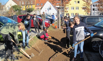 Wildblumen statt Wiese - Schülerprojekt mit der Umweltstation der Stadt Würzburg