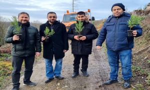 Iserlohn’da “Gönüllüler Günü”nde fidan dikim töreni gerçekleştirildi