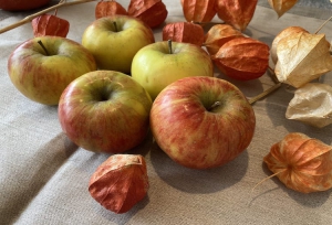 Apfelpfannkuchen sind schnell zubereitet und schmecken Groß und Klein.   © AOK Bayern / Helga Leirich   