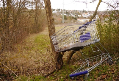 Verwaister Einkaufswagen Foto: Jakob Sänger