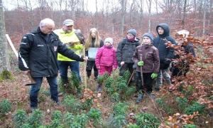 Nussbäume und Elsbeere im Remlinger Zukunftswald Klimaresistente Bäume zum Aufforsten eines Trockenstandortes